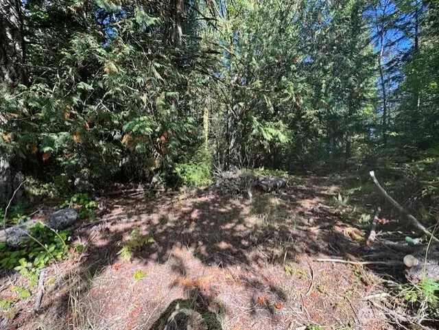 0 E Agate Road, Shelton, WA 98584 - #3