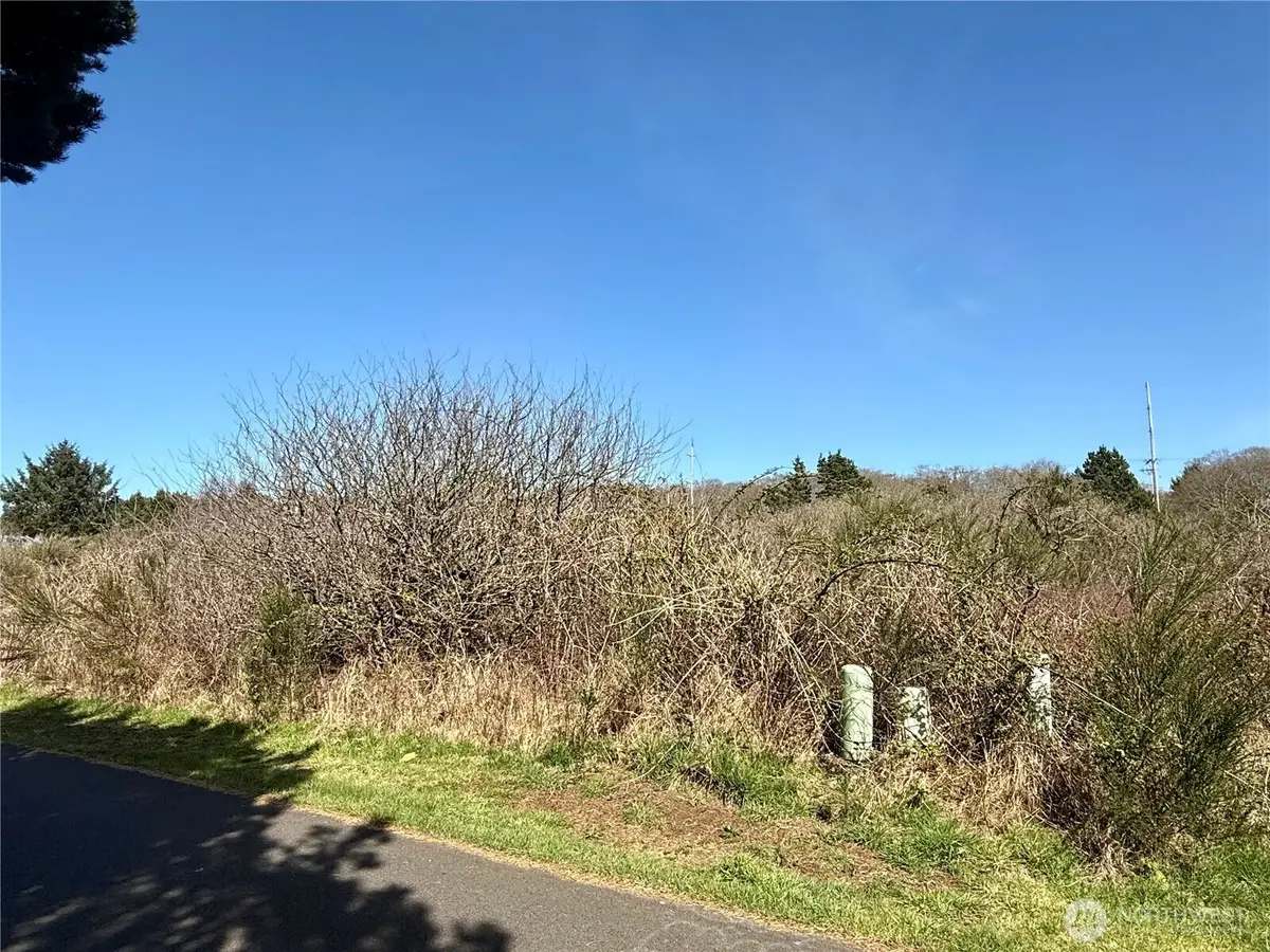 2 Francis Seamore Lane #5, Grayland, WA 98547 - #1