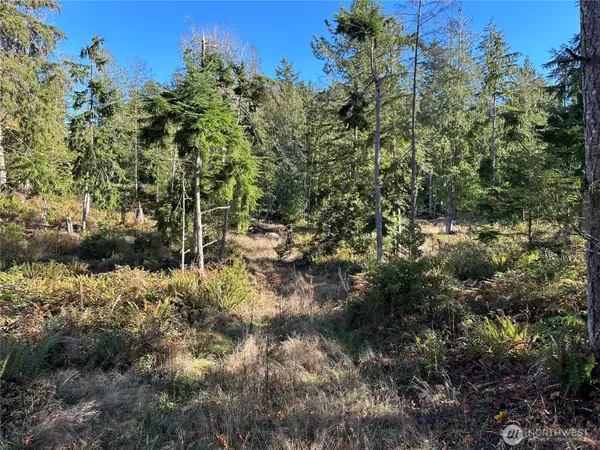 6 Lilypad Place E #6, Port Orchard, WA 98366