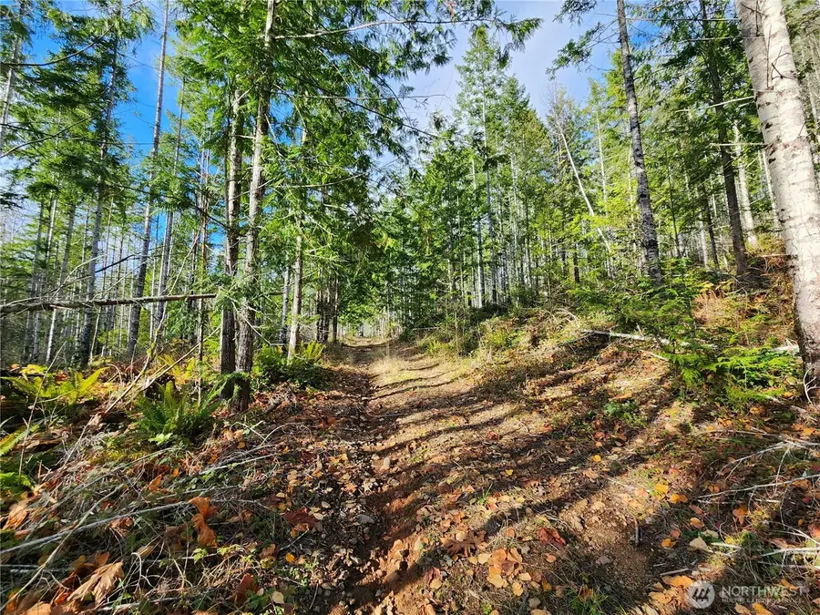 0 Rocky Brook Rd, Brinnon, WA 98320 - #3