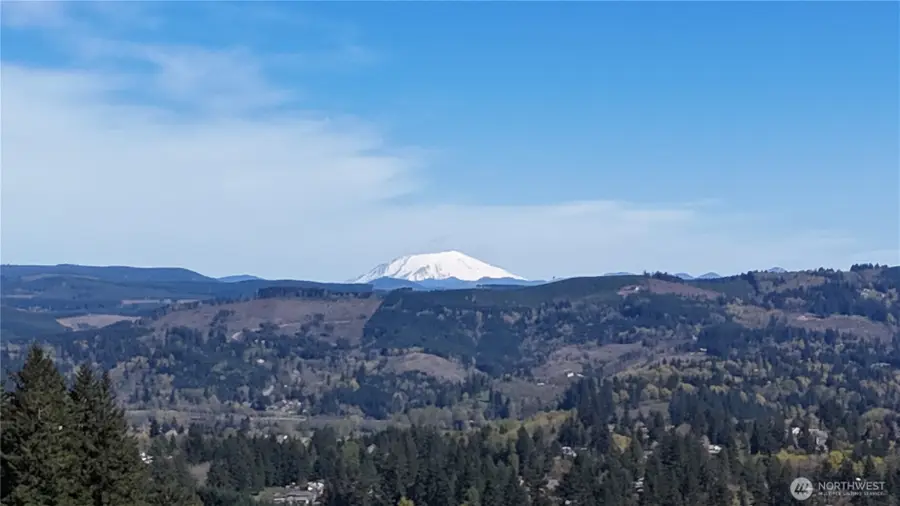 260 Livingston Heights Drive, Longview, WA 98632 - #2