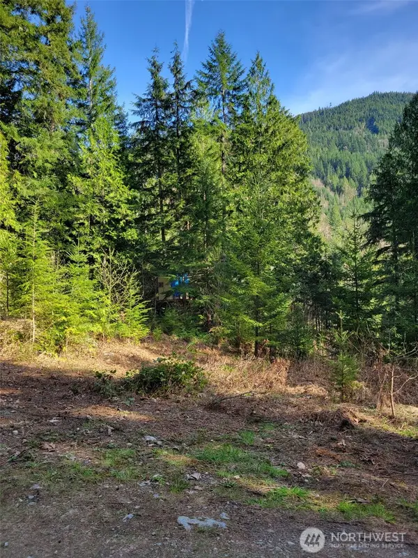 0 Acorn Lane #159, Marblemount, WA 98267