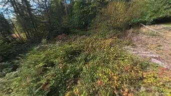 130 Lot: B, Ptn Blk: 15 #B, Hoodsport, WA 98548