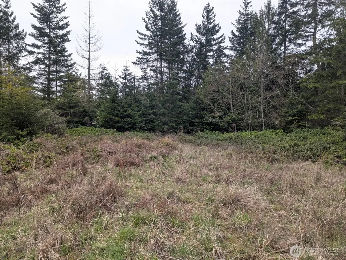 0 Critter Country Trail #3, Sequim, WA 98382 - #1