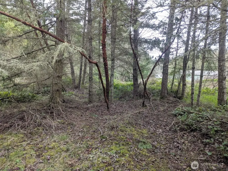 0 Critter Country Trail #3, Sequim, WA 98382 - #2