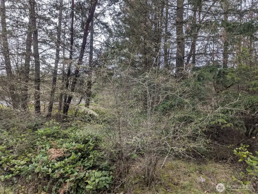 0 Critter Country Trail #3, Sequim, WA 98382 - #3