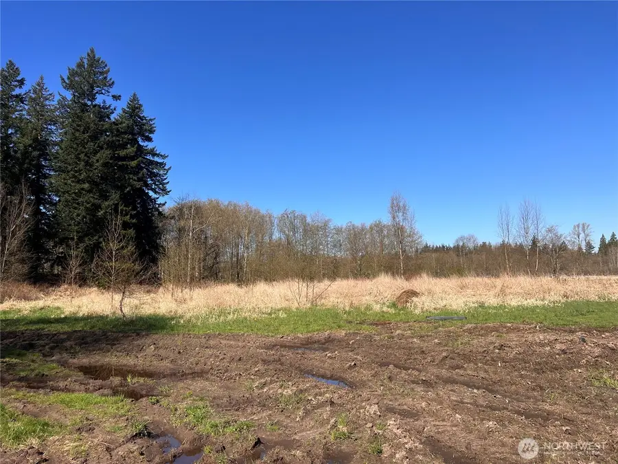 8599 Valley View Road, Custer, WA 98240 - #2