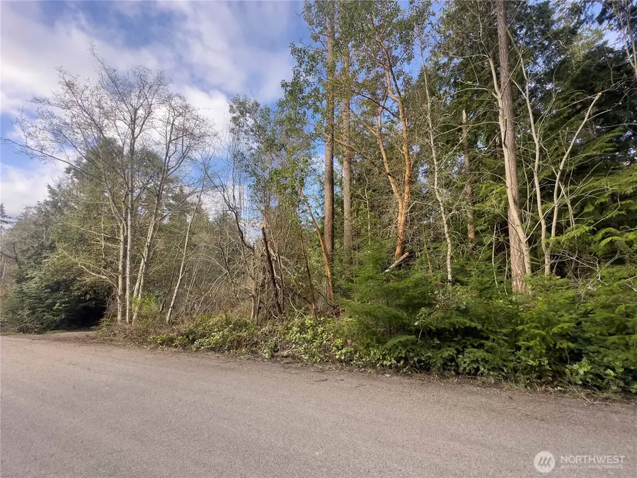 222 Law Avenue #LOTS 12,13,14, Port Townsend, WA 98368 - #2