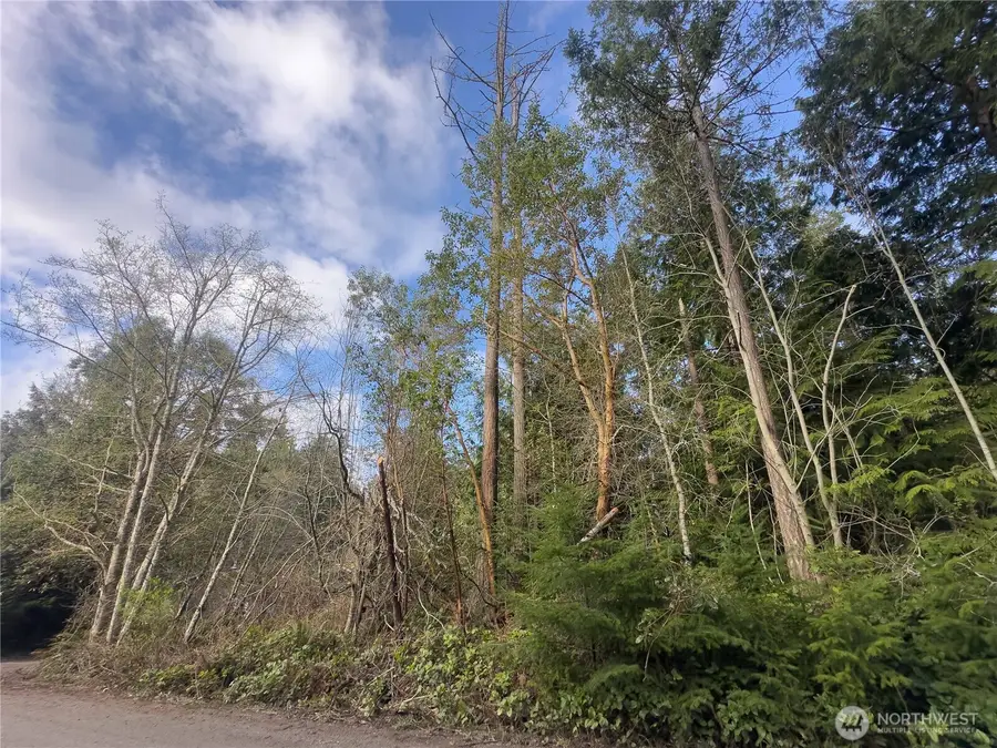 222 Law Avenue #LOTS 12,13,14, Port Townsend, WA 98368 - #3