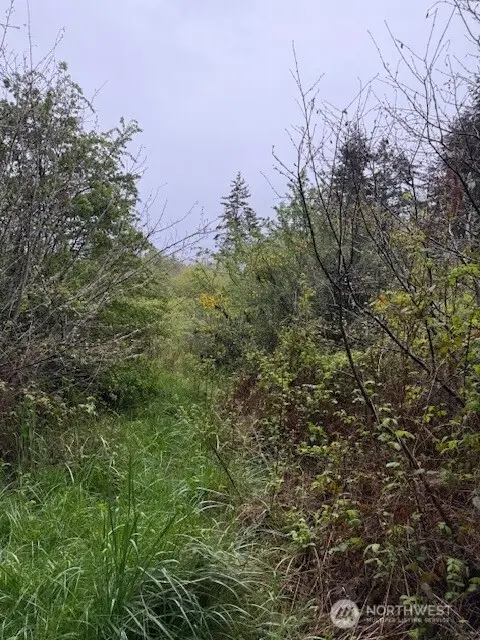 8 Katherine Street #5-8, Port Townsend, WA 98368 - #1