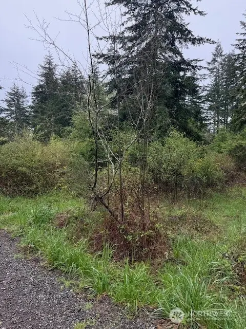 8 Katherine Street #5-8, Port Townsend, WA 98368 - #2