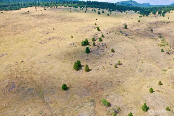 0 Capelabelle, Tonasket, WA 98855