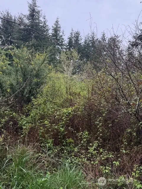 1 Katherine Street #1 - 2, Port Townsend, WA 98368