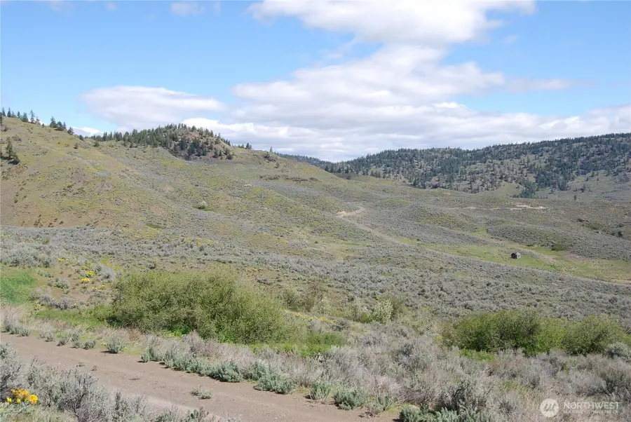 0 Lower White Road, Tonasket, WA 98855 - #3