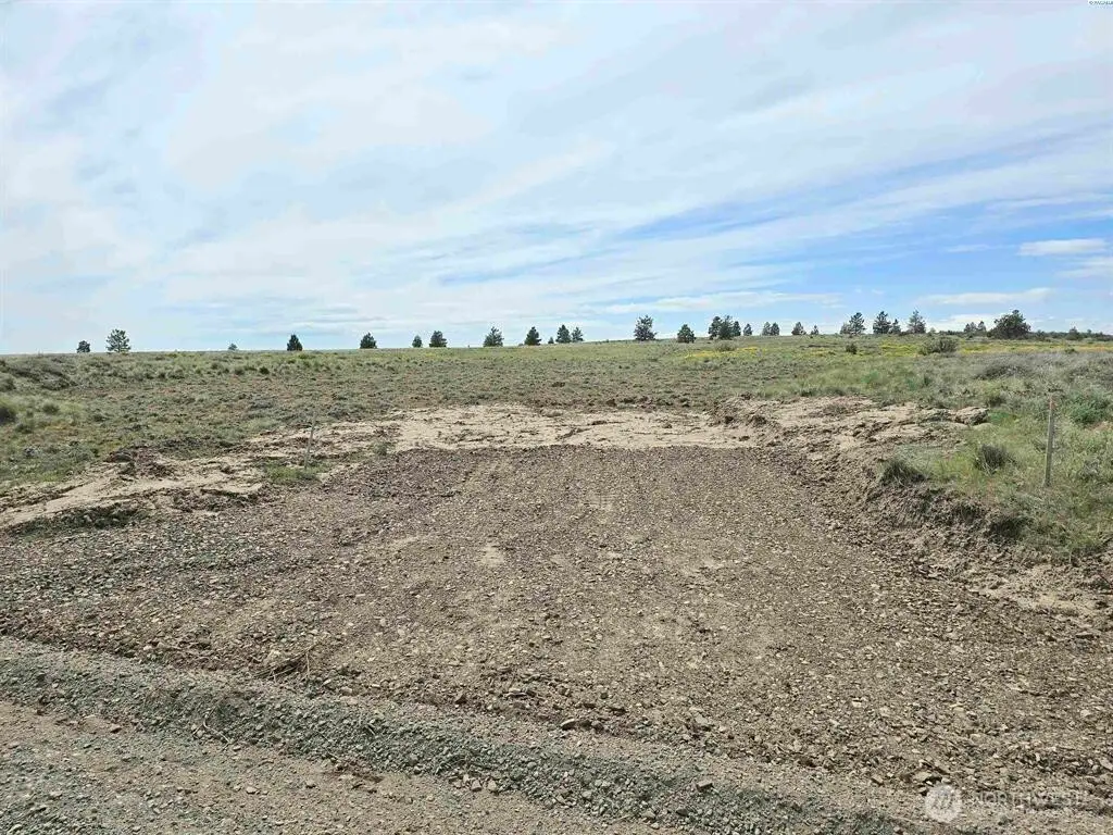 141 Middle Rd, Bickleton, WA 99322 - #1