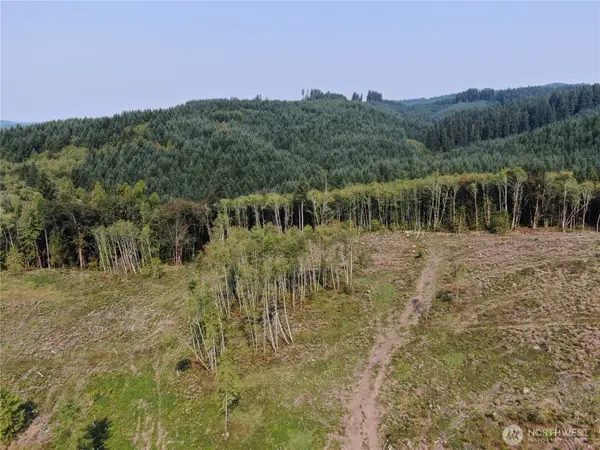 0 Cedar Creek Road, Oakville, WA 98568