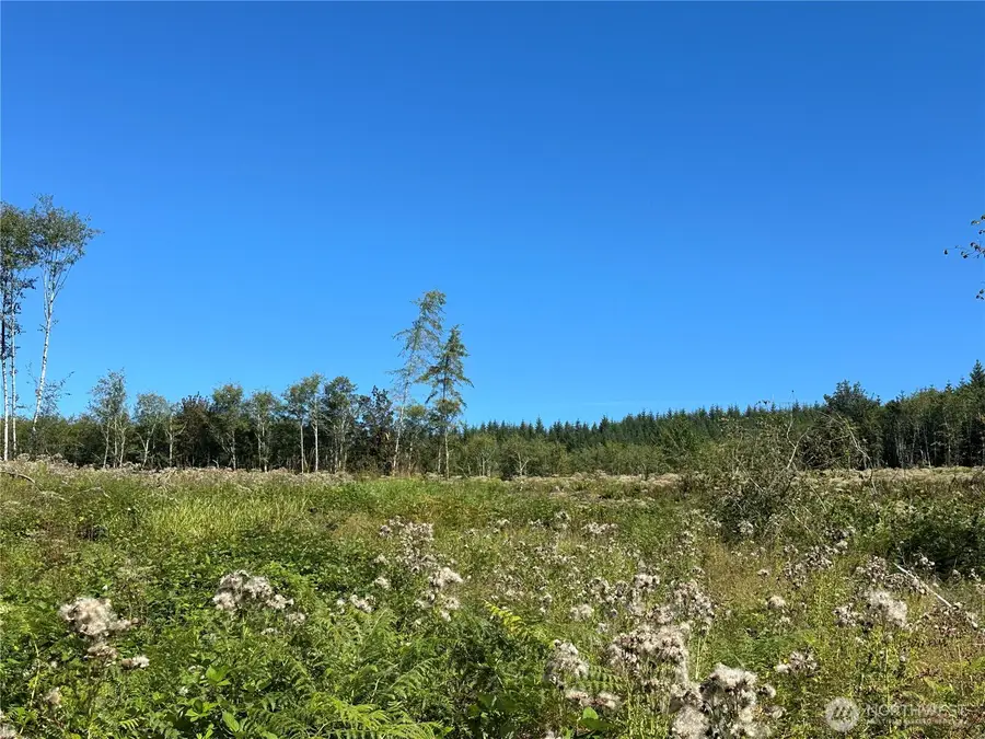 0 Cedar Creek Road, Oakville, WA 98568 - #2