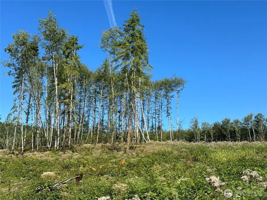 0 Cedar Creek Road, Oakville, WA 98568 - #3