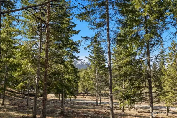 64 Liberty Bell Lane #64, Cle Elum, WA 98922