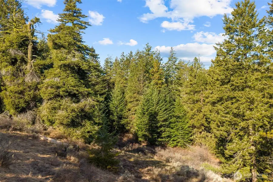 104 Yarrow Lane #95, East Wenatchee, WA 98802 - #2