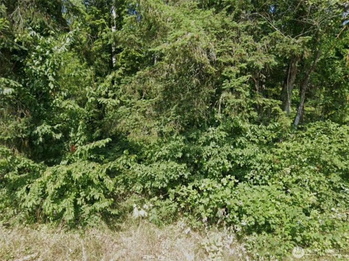 31 NE Burt Court, Belfair, WA 98528 - #1