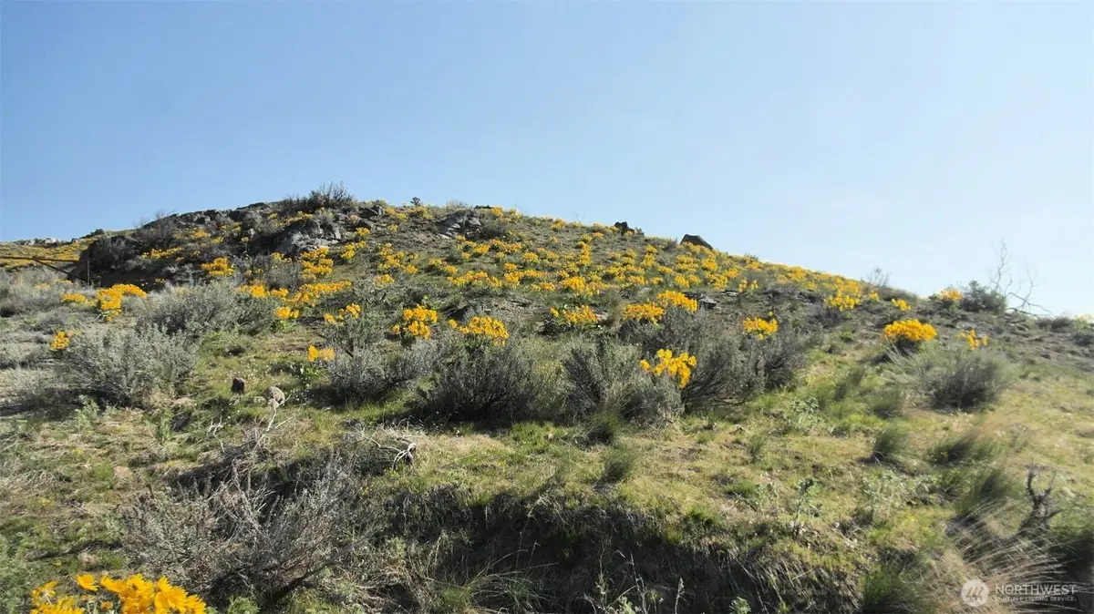 33 Avery Road #Lot 51, Brewster Wakefield, WA 98834 - #1