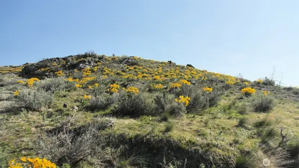 33 Avery Road #Lot 51, Pateros, WA 98834