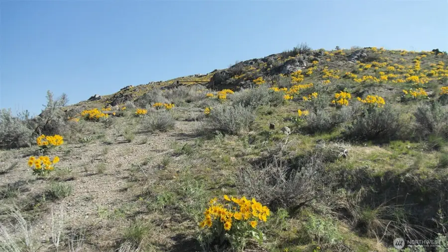 33 Avery Road #Lot 51, Brewster Wakefield, WA 98834 - #2