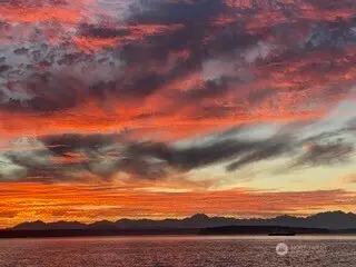 10203 47th Avenue Sw #C8, Seattle, WA 98146