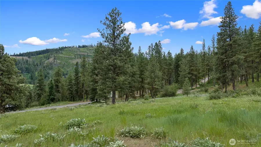 0 Swauk Pines Road #2-B, Cle Elum, WA 98922 - #3