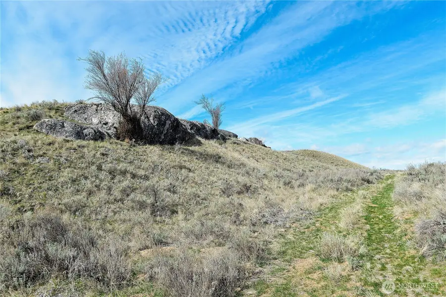 0 Emily Road, Oroville, WA 98844 - #2