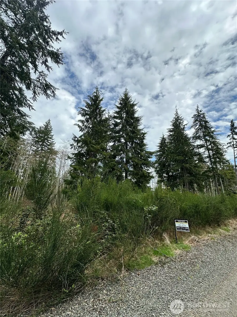 9945 Thomas Street #45, Forks, WA 98331 - #2