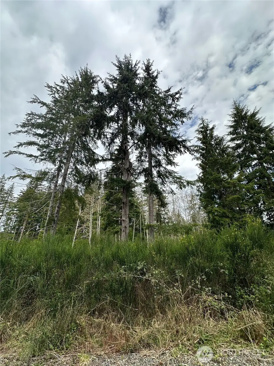 9945 Thomas Street #45, Forks, WA 98331 - #3