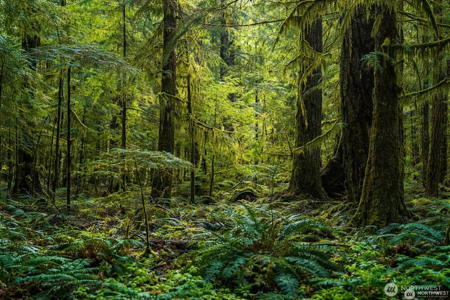 44110 SE 159th Street, North Bend, WA 98045 - #2