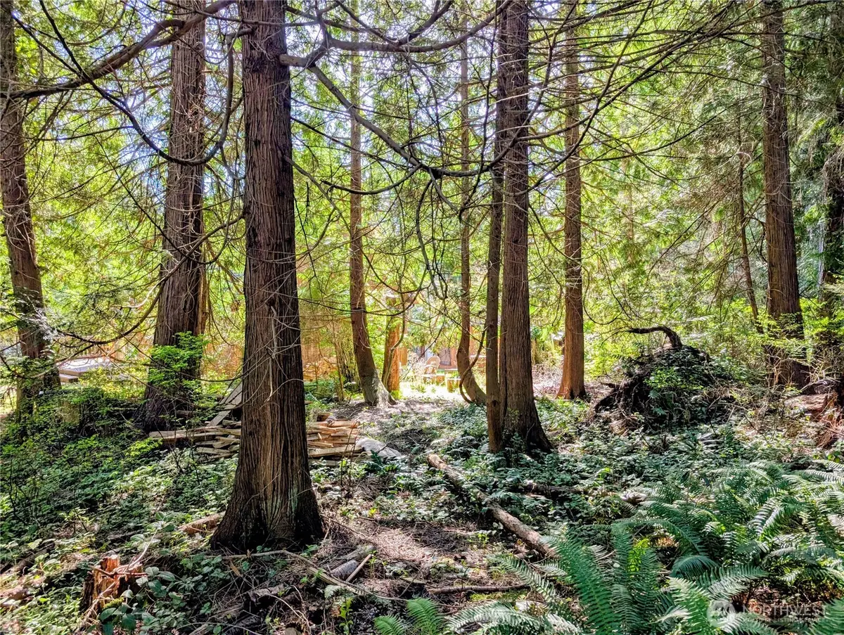 1940 N Cedar Park Drive #5, Point Roberts, WA 98281 - #1