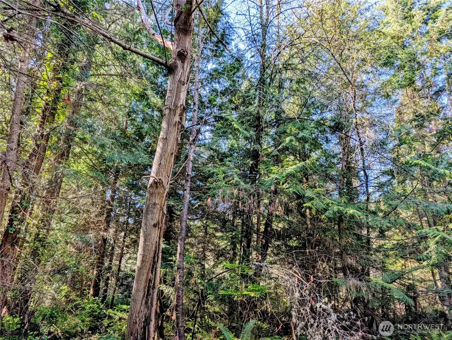 1940 N Cedar Park Drive #5, Point Roberts, WA 98281 - #3