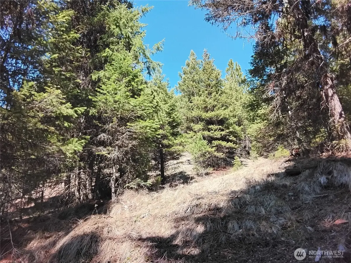 44 Trapline Loop Road #98, Oroville, WA 98844 - #1