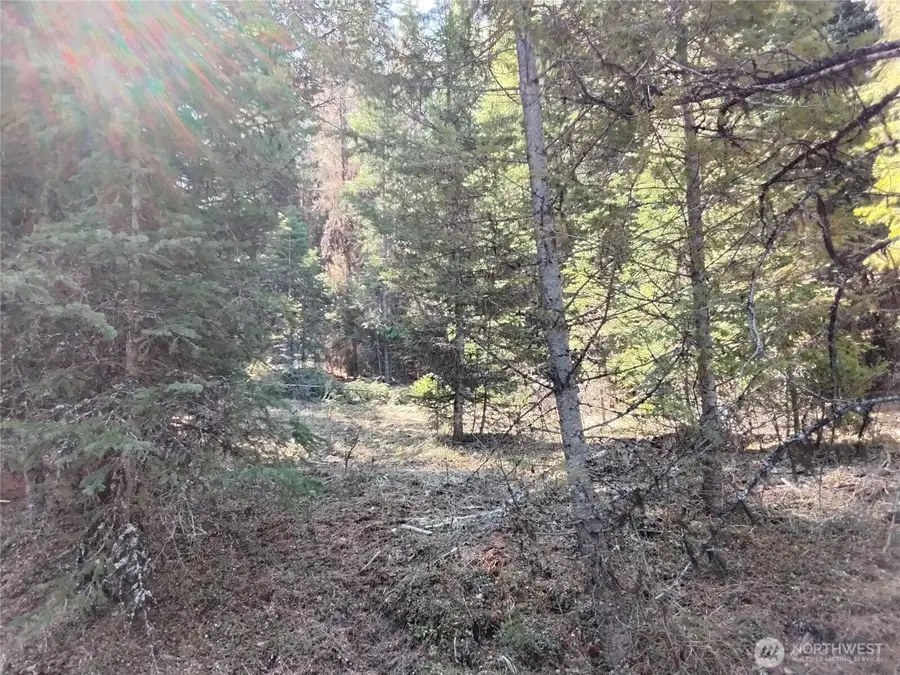 44 Trapline Loop Road #98, Oroville, WA 98844 - #2