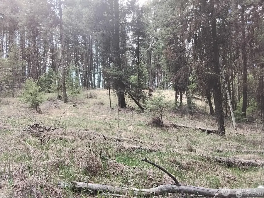 44 Trapline Loop Road #98, Oroville, WA 98844 - #3