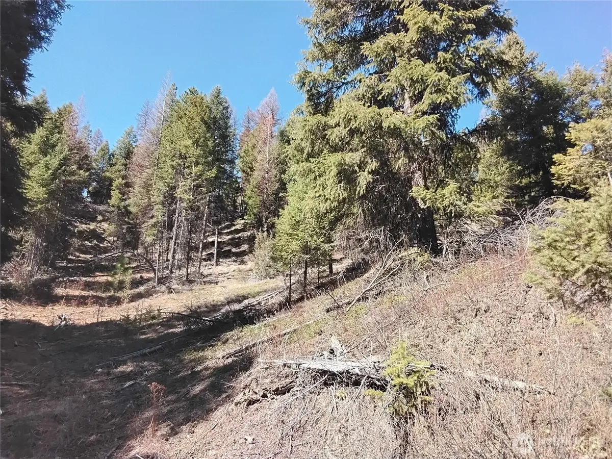 0 Cougar Loop Drive, Tonasket, WA 98855 - #1