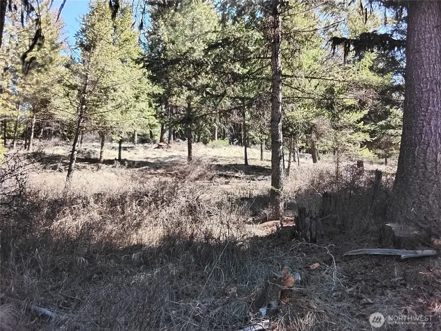 0 Cougar Loop Drive, Tonasket, WA 98855 - #2