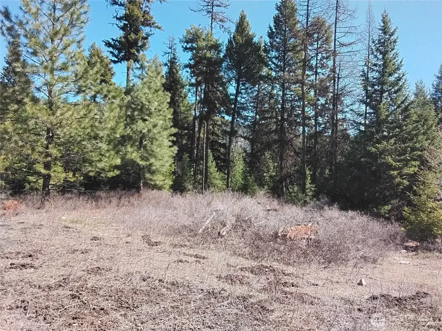 0 Cougar Loop Drive, Tonasket, WA 98855 - #3
