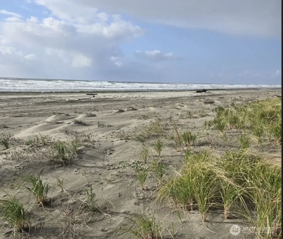 4717 State Route 105 S, Grayland, WA 98547 - #1