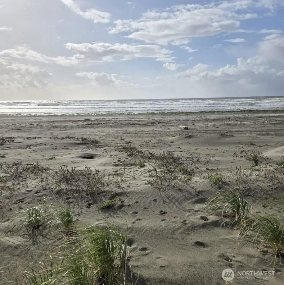 4721 State Route 105 S, Grayland, WA 98547 - #1