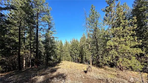 142 Red Pine Court #Tx 1 Lots 142 & 143, Winthrop, WA 98862