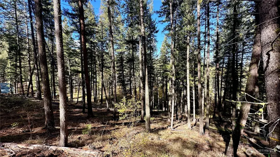 142 Red Pine Court #Tx 1 Lots 142 & 143, Winthrop, WA 98862 - #3