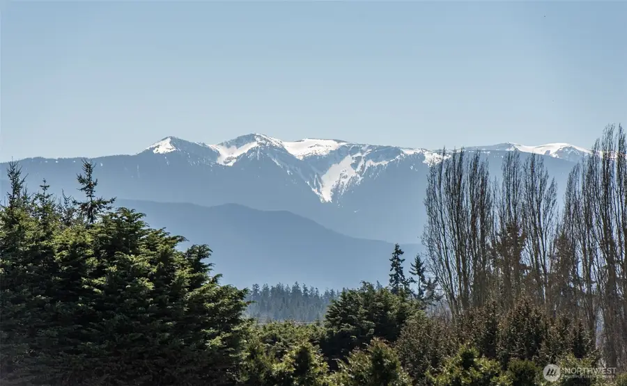 1688 Finn Hall Road, Port Angeles, WA 98362 - #3