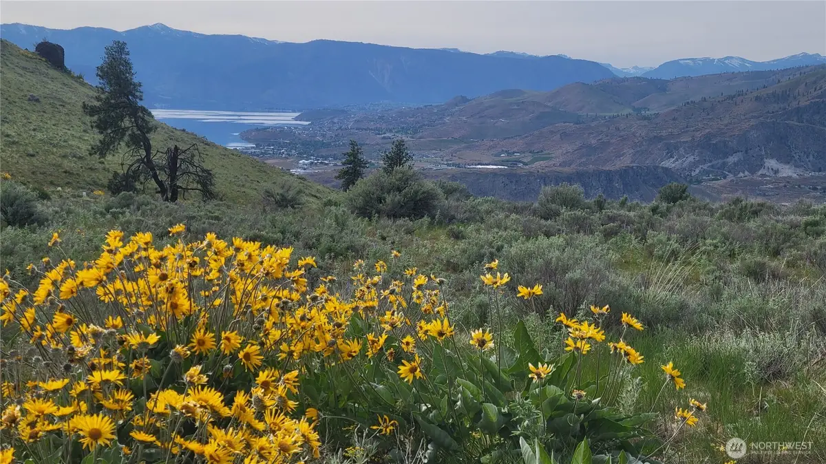 0 Coyote's Curve Road, Orondo, WA 98843 - #1