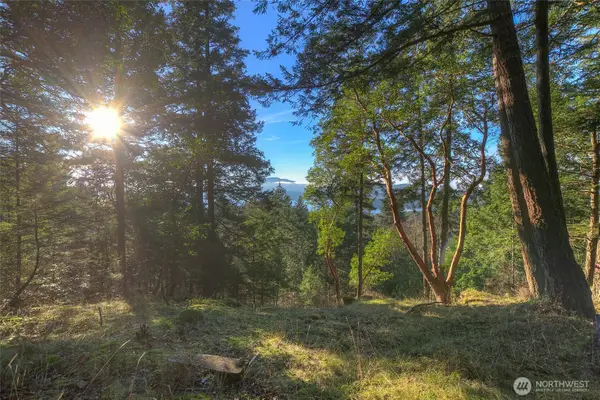 558 Buck Mt. Road, Orcas Island, WA 98245