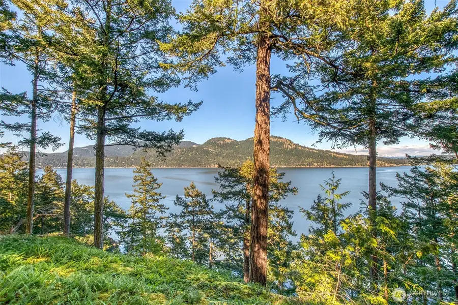 260 Grey Havens Loop, Eastsound, WA 98280 - #3